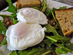 Dandelion Greens Salad w/ Poached Egg